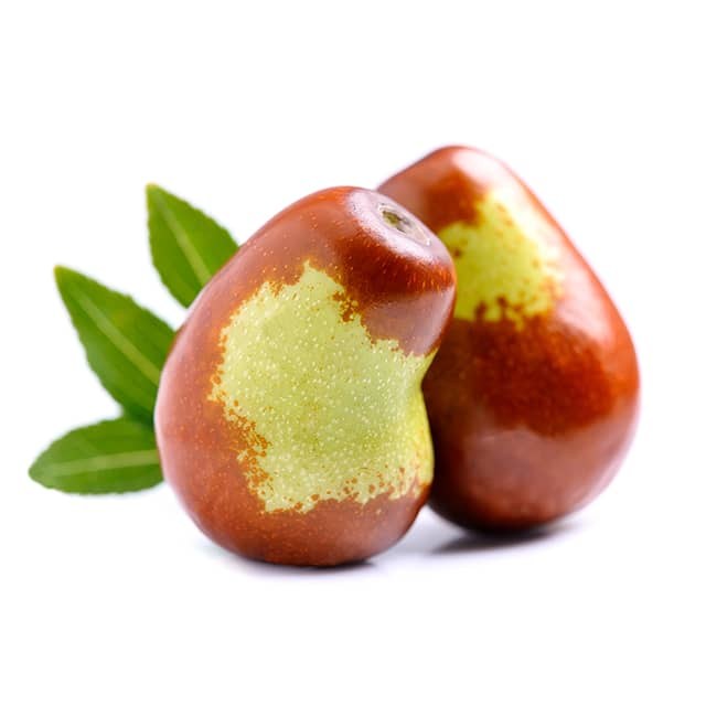 jojoba5